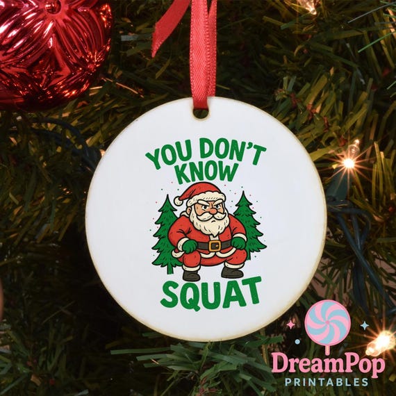 You Don’t Know Squat Santa PNG Personal and Commercial, Funny Christmas Gym Clipart, Fitness Holiday Sublimation DesignCrafts