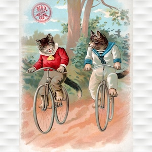 Cats - League of American Wheelmen