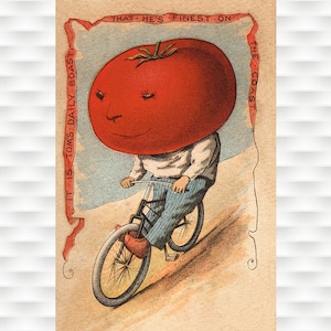 Tomaat op de fiets - Plantaardige mensen - vintage poster