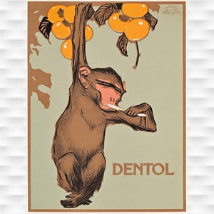 Könnte beinhalten: Vintage Werbeplakat mit einem braunen Affen, der sich die Zähne putzt, während er an einem Ast mit orangefarbenen Früchten hängt. Unter dem Affen steht in braunen Buchstaben das Wort "DENTOL".