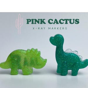 Dinosaur X-ray Markers