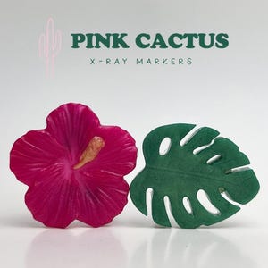 Tropical X-ray Markers