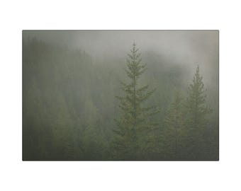 Foggy Pine Forest Satin Canvas Stretched Wall Art | Pacific Northwest Misty Landscape