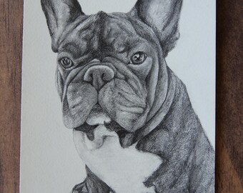 Custom Pet Portrait – Hand-Drawn Artwork of Your Pet