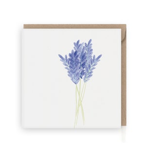 Lavendel wenskaart, Bloemenkaart Lavendel, Illustratie, Condoleance, condoleance kaart, rouwkaart, sterkte, ik denk aan je, sterkte, paars
