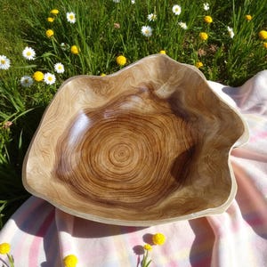Puede incluir: Un cuenco de madera hecho a mano con una forma natural y org&aacute;nica. El cuenco presenta un color marr&oacute;n claro con anillos conc&eacute;ntricos m&aacute;s oscuros, que recuerdan a los anillos de crecimiento de los &aacute;rboles. Descansa sobre una manta a rayas rosas y blancas, rodeado de hierba verde y flores.
