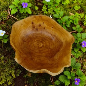 Puede incluir: Un cuenco de madera hecho a mano con una forma natural y org&aacute;nica. El cuenco es de color marr&oacute;n claro y presenta patrones de vetas de madera visibles. El cuenco est&aacute; rodeado de follaje verde y peque&ntilde;as flores moradas y blancas.
