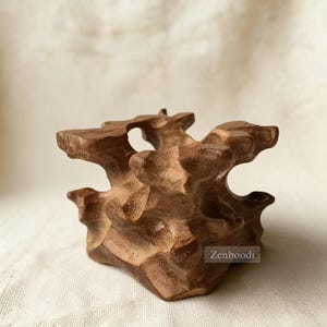 May include: A carved wooden sculpture with a natural, organic shape. The sculpture is a warm brown color and features multiple openings and textured surfaces. The base is a solid, geometric shape. The word "Zenboodi" is visible on the bottom right.