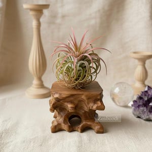 Puede incluir: Un pequeño soporte cuadrado de madera para plantas con un acabado natural y texturizado. Contiene una planta aérea con hojas verdes y rosas. El soporte está sobre una superficie neutra, con un candelabro de madera y otros objetos decorativos en el fondo.