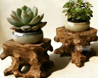 Base de raíz de palisandro en miniatura, soporte para plantas de aire zen, pequeño pedestal de madera tallado a mano para suculentas y cristales, decoración oriental para jardín en miniatura.