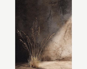 Stone & Stem – Wabi Sabi Zen Wall Art | Minimal Rustic Grass Still Life Print