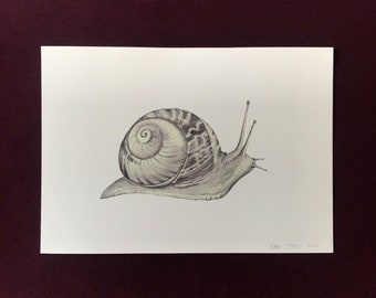 A5 Snail Print