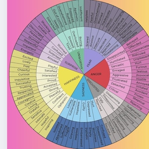 Op de afbeelding: Een kleurrijk wielschema dat emoties illustreert, met secties met de labels "Geluk", "Verdriet", "Woede", "Angst", "Verrassing" en "Walging". Elke sectie bevat een reeks gerelateerde gevoelens, zoals "Opgewonden", "Eenzaam" en "Gefrustreerd".