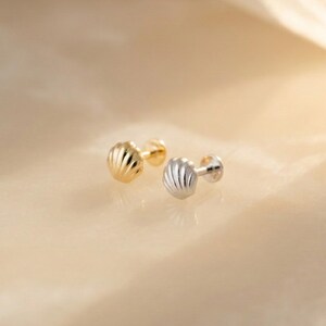 May include: Two stud earrings shaped like small seashells, one finished in a polished gold tone and the other in a polished silver tone. Each earring features a rounded, fan-like design with vertical ridges radiating from the base to the edge.