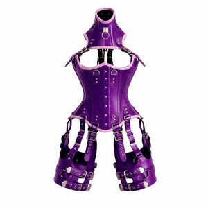 May include: A purple corset with light purple trim, featuring a high neck collar with a central metal ring, silver-toned studs, and multiple adjustable straps with buckles connecting to two separate thigh-high leg harness sections.