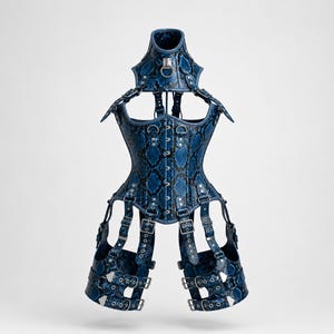 Real Python Leather Steel Boned Corset Bodysuit | Lace-Up Front Harness Festival Outfit