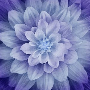 Peut inclure: Gros plan sur une fleur de dahlia avec des pétales superposés dans des tons de violet et de bleu. Le centre de la fleur est d'un bleu plus clair, les pétales s'assombrissant progressivement vers les bords, créant un effet de dégradé. Le thème général est floral et naturel.