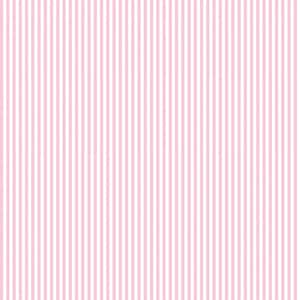 Light Pink Stripe 1/8 inch Fabric Riley Blake Designs C495 PEONY Light Pink White Small Stripe Sewing Craft Basics Binding Quilting Cotton