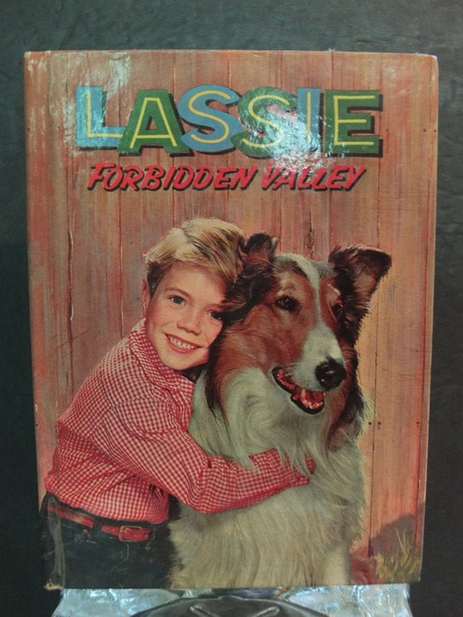 Lassie Forbidden Valley 1959 Whitman Book By Doris Schroeder Etsy