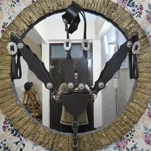 Op de afbeelding: Een donkerbruine leren borsttuig voor paarden met zilverkleurige decoratieve accenten. Het borsttuig heeft een jukontwerp met meerdere riemen en gespen. De afbeelding wordt weerspiegeld in een ronde spiegel met een goudkleurige, getextureerde lijst.