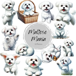 Maltese Mania Bundle | Cute Maltese Dog Digital Prints | Puppy Wall Art | Instant Download | Pet Lover Gift | Nursery & Home Decor