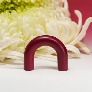 May include: A deep red, arch-shaped object stands in front of a large, white and yellow chrysanthemum flower. The background is a gradient of red and white. The arch is a solid, smooth form.