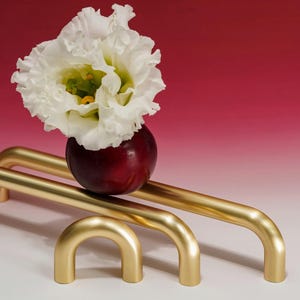 Pode incluir: Uma flor branca com centro verde repousa sobre uma fruta vermelha escura, equilibrada em três barras de metal dourado e curvas. O fundo transita do branco para um vermelho profundo.