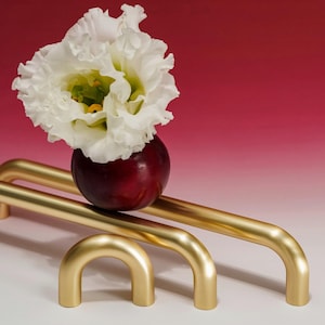 Pode incluir: Uma flor branca com centro verde repousa sobre uma fruta vermelha escura, equilibrada em três barras de metal dourado e curvas. O fundo transita do branco para o vermelho profundo.