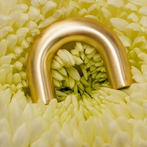 Può includere: Un oggetto metallico dorato a forma di U è inserito in un gruppo di petali di fiori giallo crema. L'oggetto ha una superficie liscia e lucida e una forma arrotondata. I petali dei fiori sono morbidi e delicati, creando una trama contrastante.