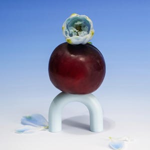 Könnte beinhalten: Ein Stillleben mit einer dunkelroten Pflaume, die auf einer hellblauen bogenförmigen Struktur balanciert. Eine kleine blau-weiße Blume ruht auf der Pflaume. Verstreute Blütenblätter vor einem blauen Farbverlauf.