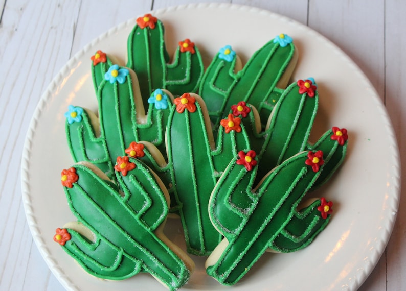 Cactus Cookies Succulent Cookies Fiesta Cookies Cactus Etsy Cactus Cookies Succulent Cookies Fiesta Cookies Cactus Etsy