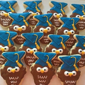 Owl Graduation Cookies, grad cookie, Graduation Gift, Graduation Party Favors, Graduation Party, graduation cookie, preschool graduation