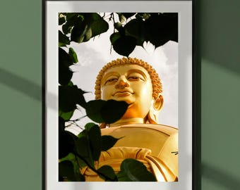 May include: A framed print of a golden Buddha statue, viewed from below, framed by dark green leaves. The Buddha's serene face is illuminated, set against a cloudy sky. The artwork is displayed on a green wall.