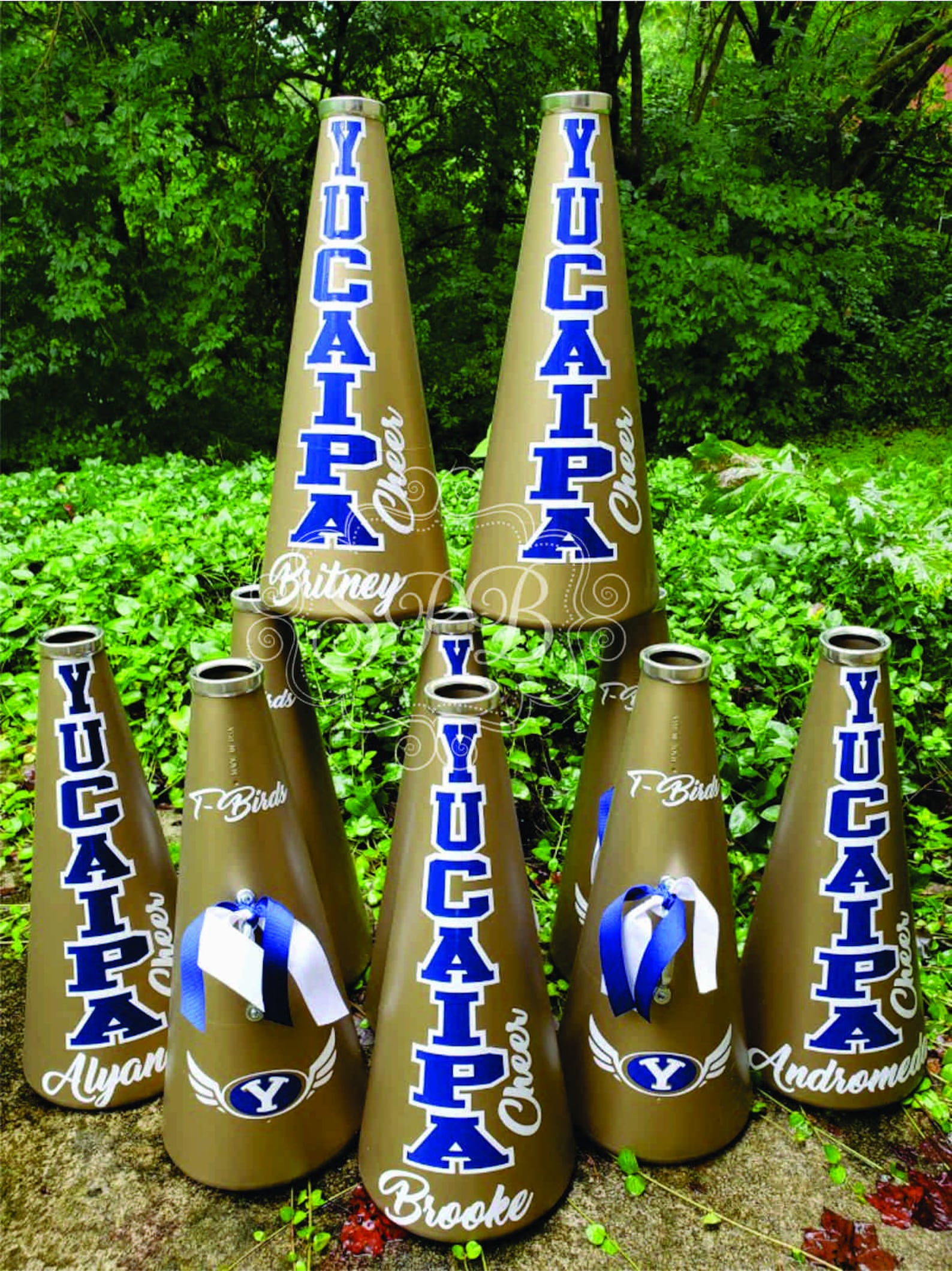 19 Cheer Megaphone Custom for Cheerleading and Etsy