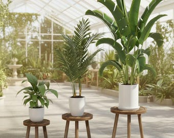 Set of 3 Wooden Plant Stands, Mid-Century Modern Plant Stool, Indoor Plant Display, Small to Large Pot Stand, Rustic Wood Plant Holder