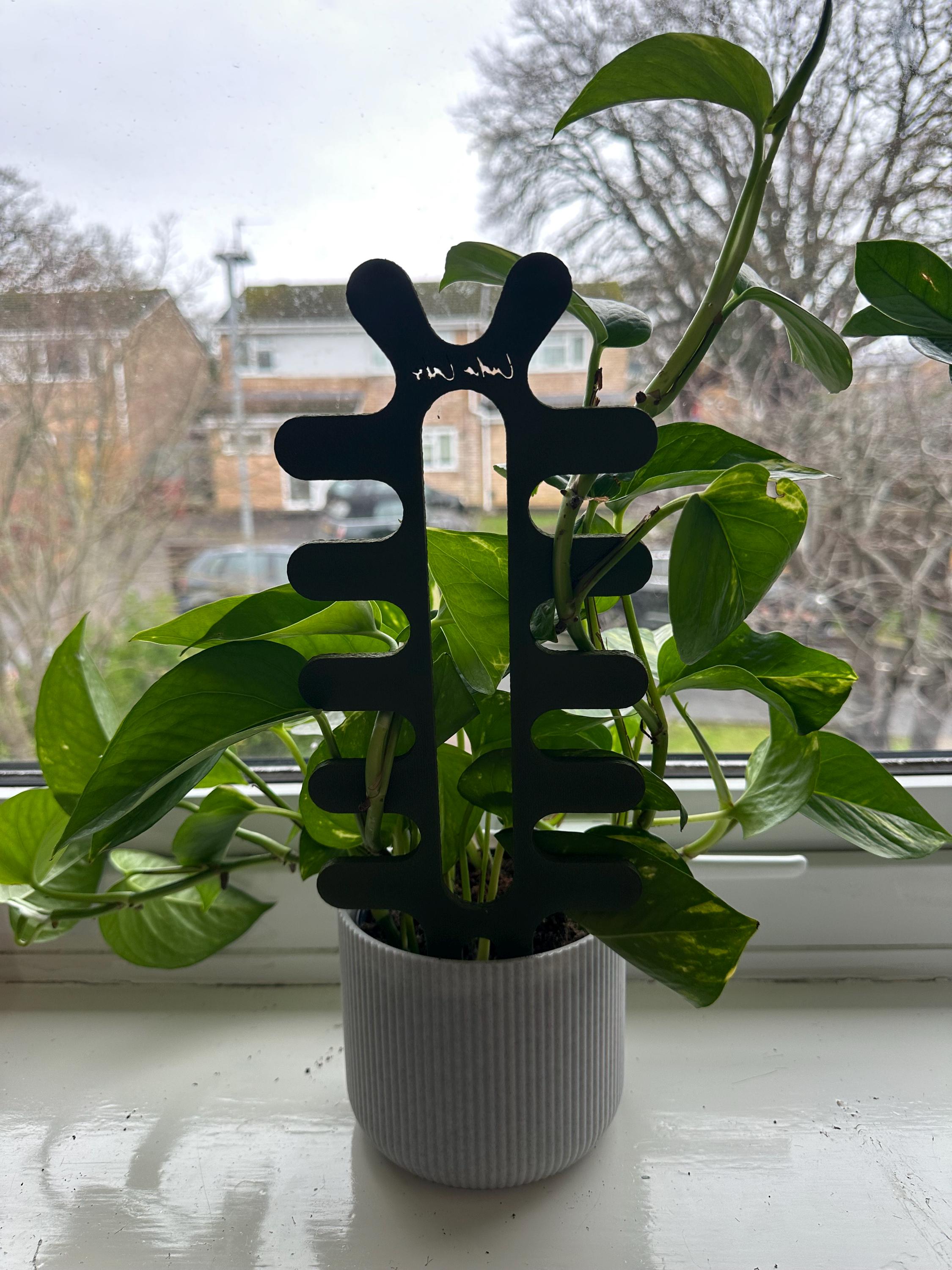 Ric-rac Plant Stake | Fishbone Cactus Support | Eco-friendly