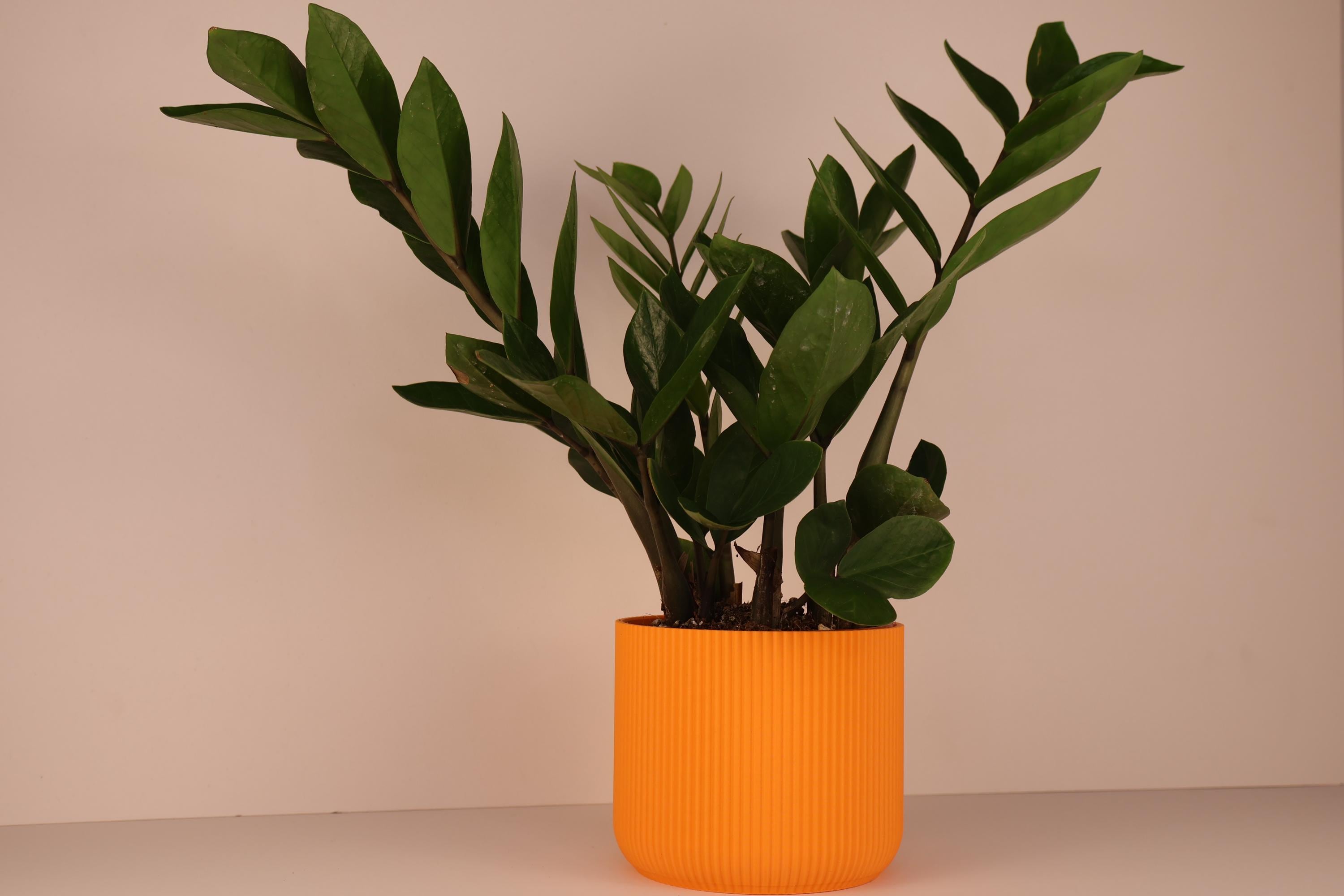 Orange plant pot - Etsy.de