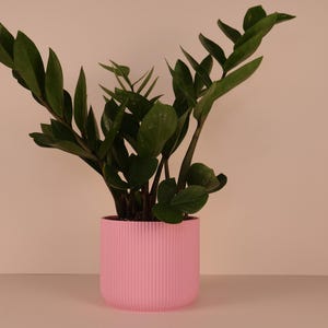 Pink Plant Pot | Minimal Décor | 3D Printed Planter | Eco Friendly | Succulent Pot | Plant Pot