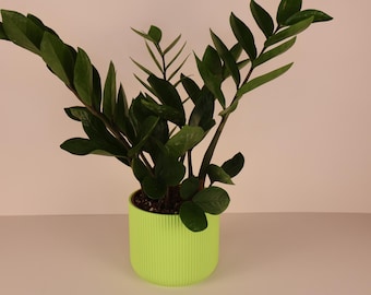 Green 3D Printed Plant Pot: Eco-Friendly PLA Minimal Decor