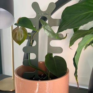 Op de afbeelding: Een mat olijfgroen metalen plantenrek met een verticale ruggengraat en symmetrische inkepingen aan de zijkanten, geplaatst in een gespikkelde perzikkleurige keramische pot. Een klimplant met groene en bronskleurige bladeren groeit langs het rek.