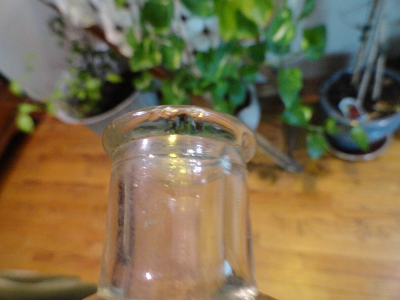 Vintage 1920s to 1930s Whittemore Boston Shoe Polish Small Etsy