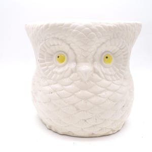 May include: A white ceramic owl-shaped planter with yellow eyes. The planter has a textured surface that mimics feathers. The owl's face is detailed with a beak and facial features. The planter is designed to hold plants or flowers.
