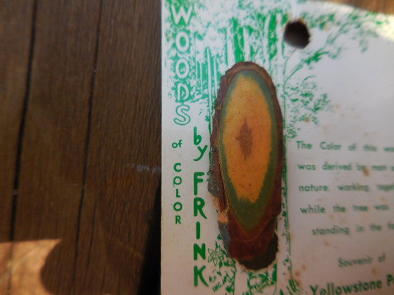 Vintage 1960s to 1970s Woods of Color by Frink Souvenir of Yellowstone Park Handmade from Wyoming Gemwood Man/'s Tie Clip GreenBrown Wooden