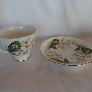 Vintage Royal Stafford Teacup & Saucer Set Bone China Made in England Light Pink Small Flowers Gold Trim Green Leaves Display image 3