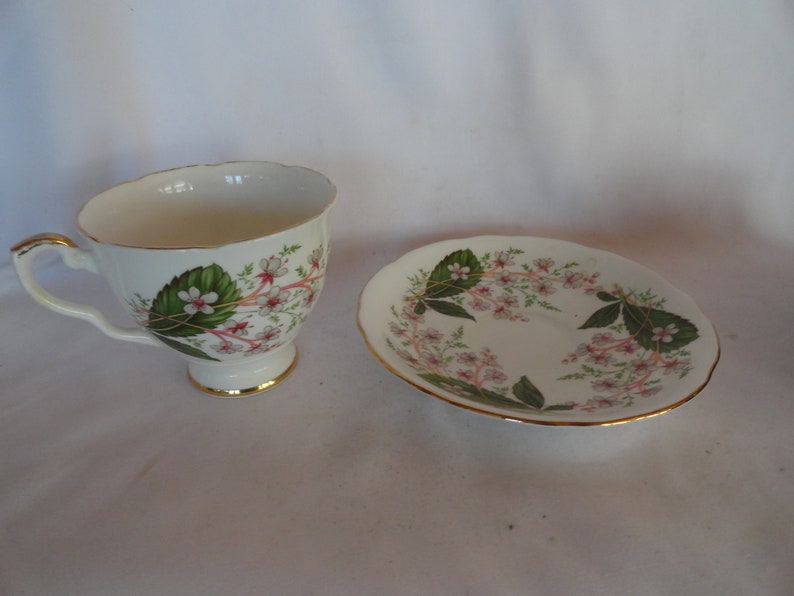 Vintage Royal Stafford Teacup & Saucer Set Bone China Made in England Light Pink Small Flowers Gold Trim Green Leaves Display image 3
