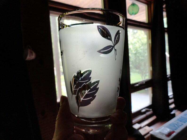 May include: A frosted glass with a black and white leaf design, filled with a clear liquid. The glass is being held by a hand.