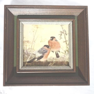 Vintage Bird Print Wall Decor, Meyer-Eberhardt, Green Trim Small Home Decor Bullfinches