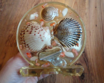 Vintage Clear Resin Abalone Shell Napkin Holder Kitchen 1970s Dining Room Nautical Retro Home Decor Beige Orange Brown