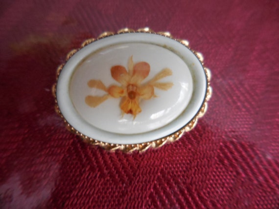 Vintage Women's Small Oval Glass Pin Gold Tone Br… - image 1