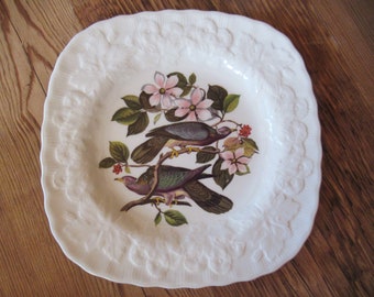 Vintage Alfred Meakin Bird Plate England Square Plate Embossed Edging Display #367 or #168 Band-Tailed Pigeon or Fork-Tailed Flycatcher